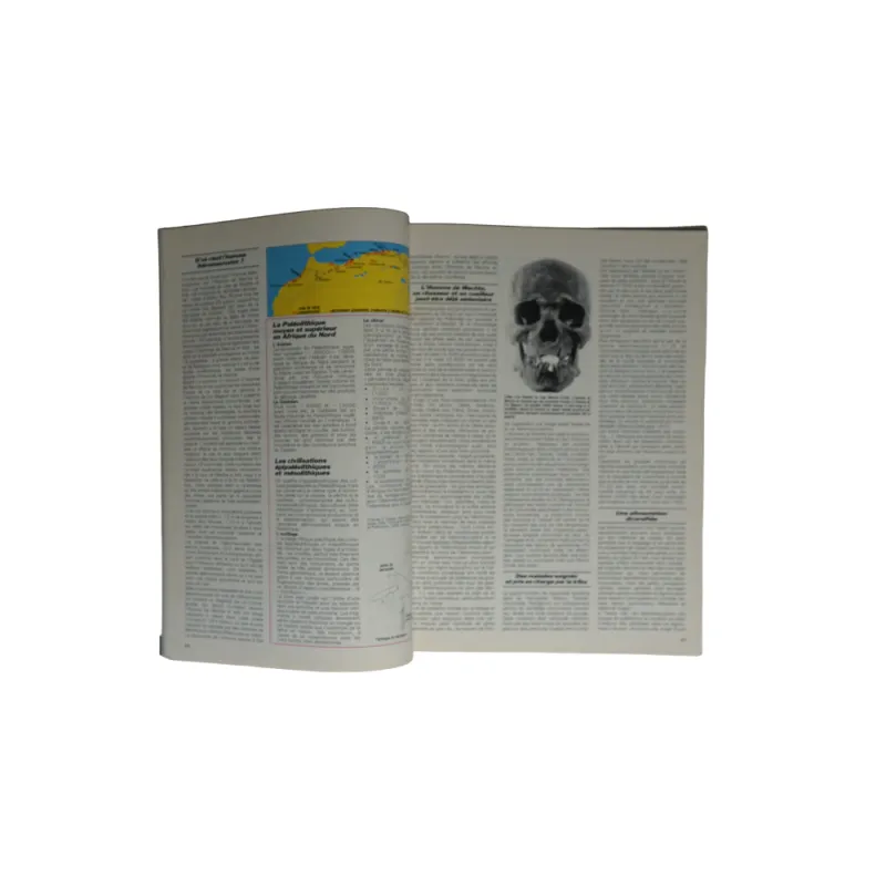 Syria. Revue d'art oriental et d'archéologie. Tome 81. Année 2004. main image 1