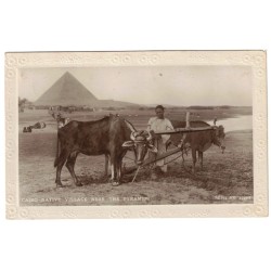 EGYPTE - LE CAIRE - VILLAGE DE NATIFS PRES DES PYRAMIDES - TYPE BLANC - CARTE POSTALE