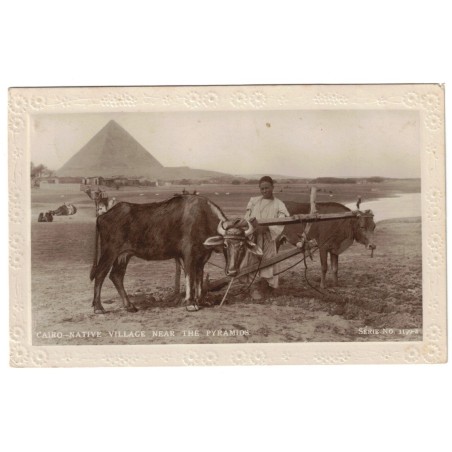 EGYPTE - LE CAIRE - VILLAGE DE NATIFS PRES DES PYRAMIDES - TYPE BLANC - CARTE POSTALE