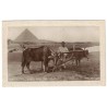 EGYPTE - LE CAIRE - VILLAGE DE NATIFS PRES DES PYRAMIDES - TYPE BLANC - CARTE POSTALE