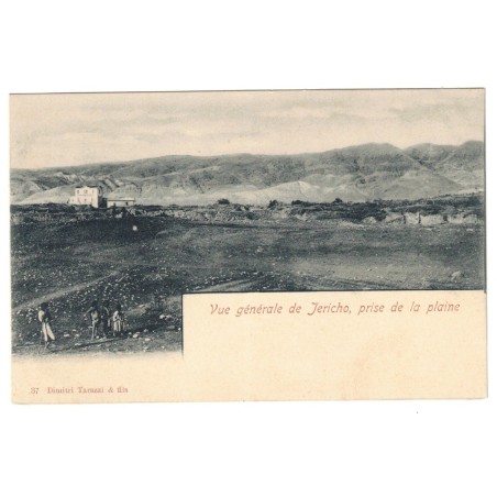 ISRAËL - VUE GÉNÉRALE DE JERICHO, PRISE DE LA PLAINE