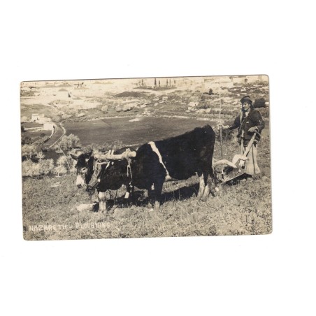 PALESTINE - NAZARETH - POULGHING - PAYSAN - CARTE POSTALE PHOTO