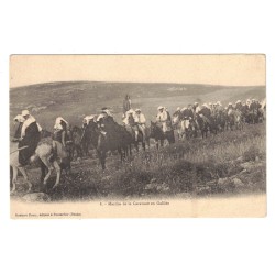 ISRAËL - MARCHE DE LA CARAVANE EN GALILÉE - CARTE POSTALE